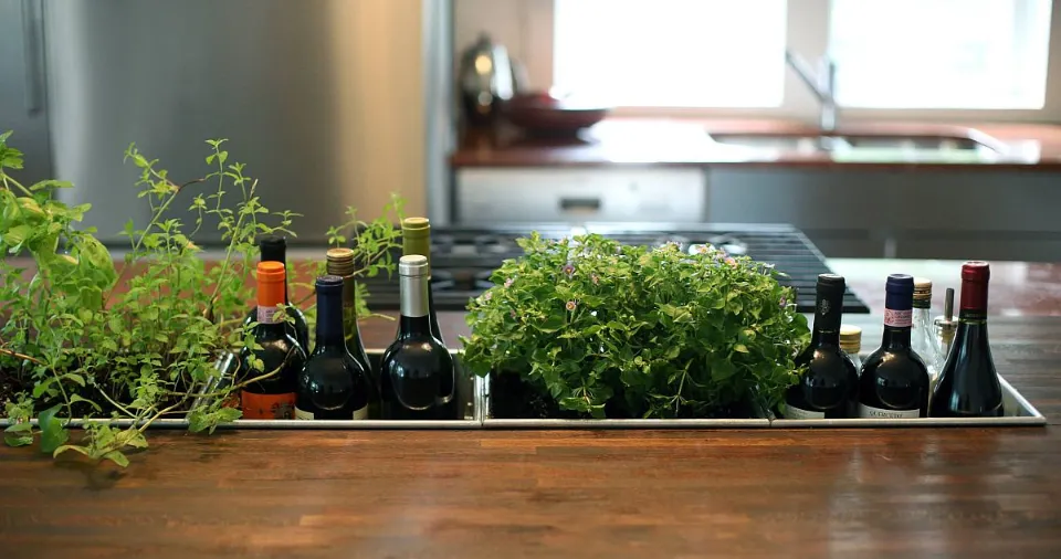 Indoor Herb Garden